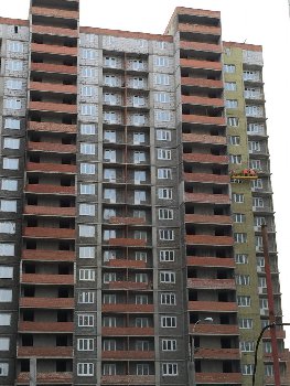 image-5.jpg