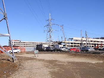 P3140300.JPG