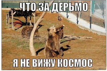 img_347605840_7097_1.jpg