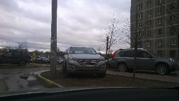 WP_20150409_001.jpg