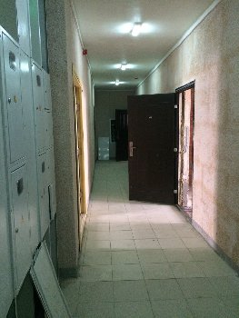 L5FP9T0A13k.jpg