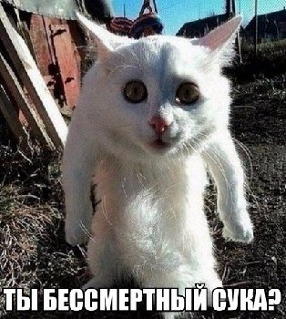 KZUUWtstIHw.jpg