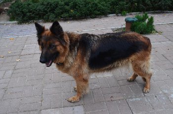 DSC_4869.JPG