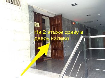 image.jpg