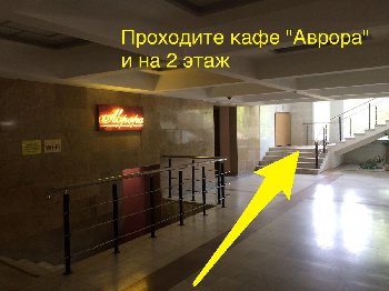 image.jpg