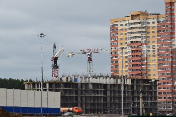 DSC_0242.JPG