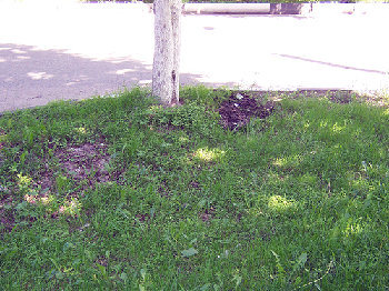 100_1261.JPG