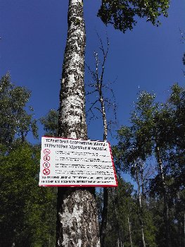 Спортшкола1.jpg
