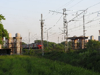P6070145.JPG
