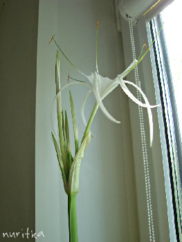 2_DSC09413_1.jpg