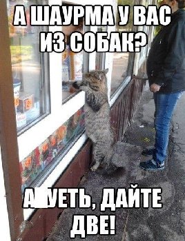 qpDyq81MjQk.jpg