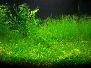 100_8962.JPG