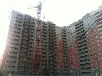 IMG_0286.jpg