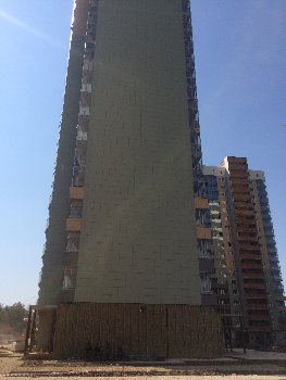 image.jpg