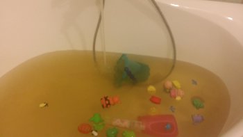 20150820_234546.jpg