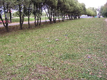 P9010466.JPG