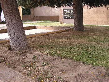 P9010456.JPG