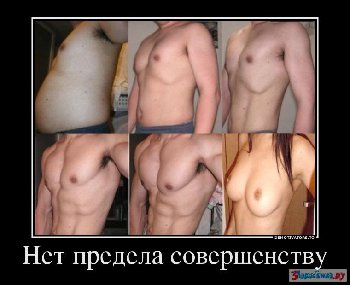 82a775be66b646173371ead713d680c5.jpg
