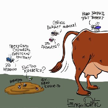 novinca7.jpg
