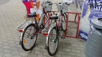 DSC_0195.JPG