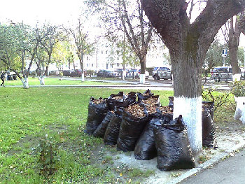 ЛИСТВА.jpg