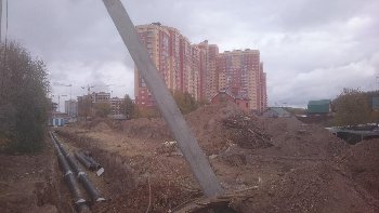 DSC_0305.JPG