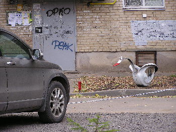 PA180870.JPG
