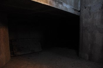 DSC_8976.JPG
