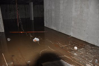 DSC_8977.JPG