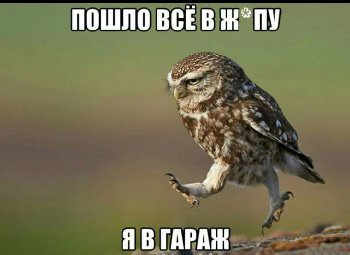 _20151102_231017.JPG