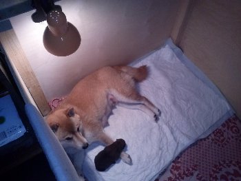 CAM02208.jpg