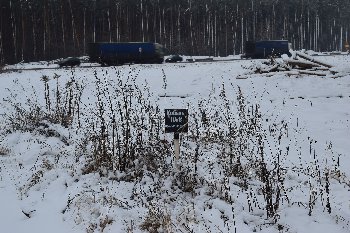 30.11.2015