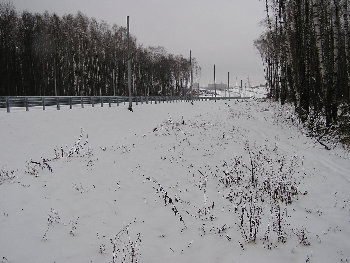 PC190535.JPG