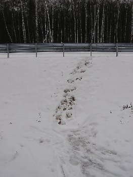 PC190534.JPG