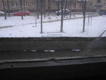 P1030608.JPG