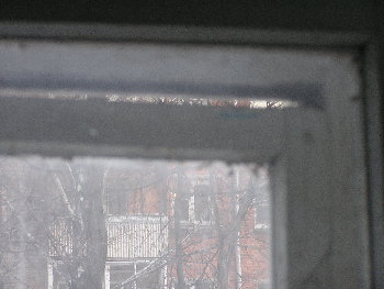 P1030606.JPG