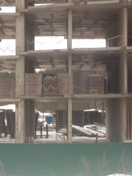 P_20160130_130827.jpg