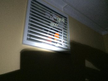 image (5).jpeg