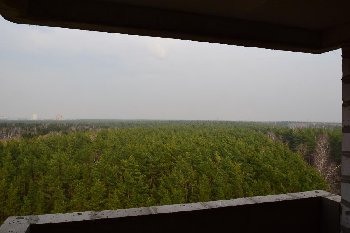 DSC_0555.JPG