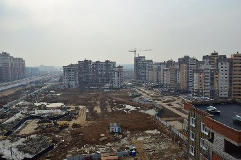DSC_0512.JPG