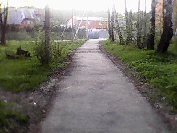 DSC_0000597.jpg