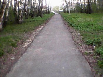 DSC_0000596.jpg