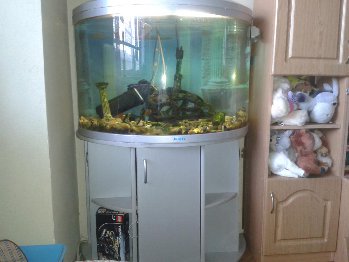 20160530_115734.jpg
