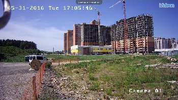 2016-05-31_122905.jpg