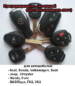 a5eeoq332jw.jpg