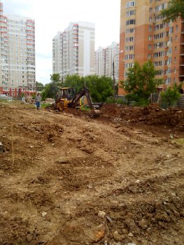 IMG_20160615_150635.jpg