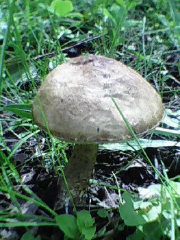 DSC_0000703.jpg