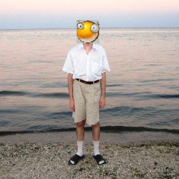 856413_original.jpg