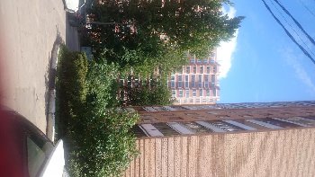 DSC_0213.JPG