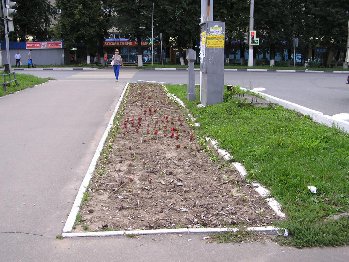 2016
